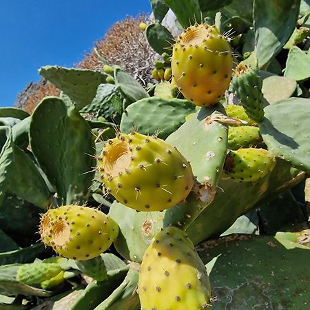 Villa Erofili Plakias South Rethimno Crete Asomatoi Zewnętrze zdjęcie