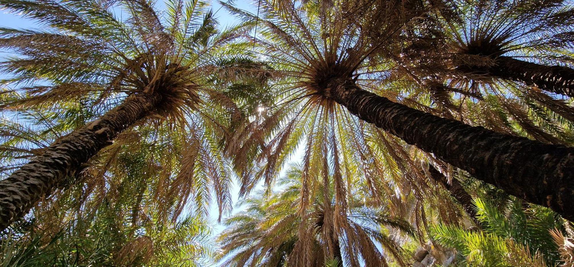 Villa Erofili Plakias South Rethimno Crete Asomatoi Zewnętrze zdjęcie